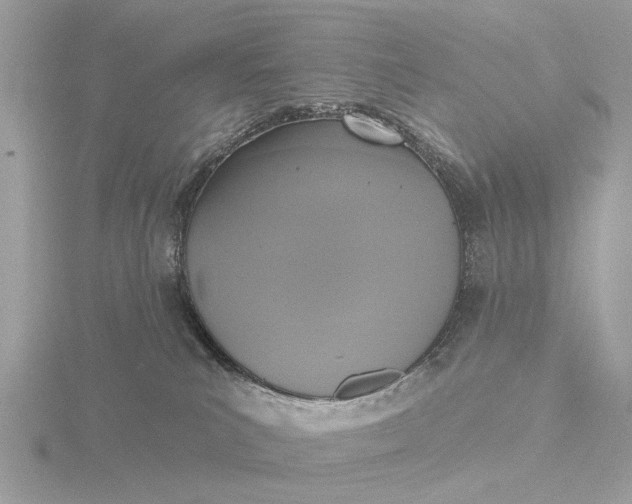 X0000116430039200912221513