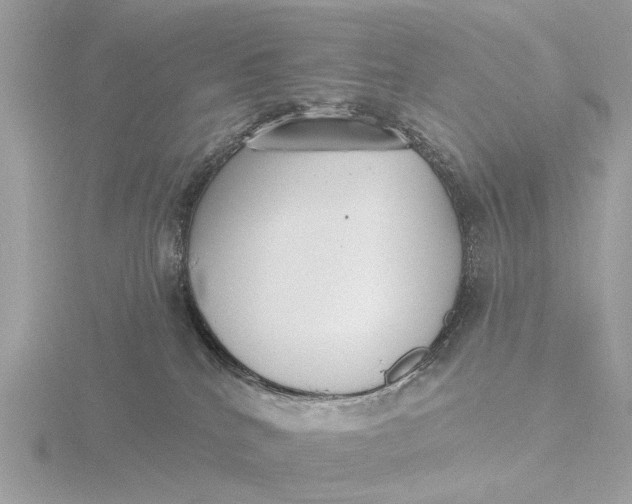 X0000116430040200912221513