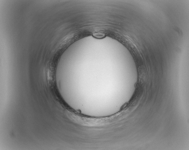 X0000116430044200912221513