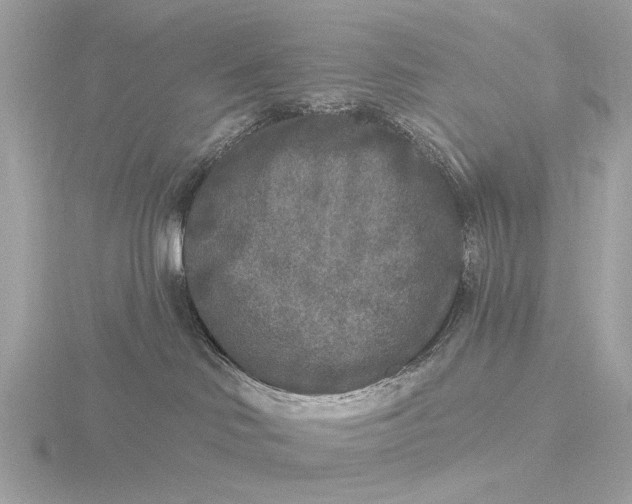 X0000116430046200912221513