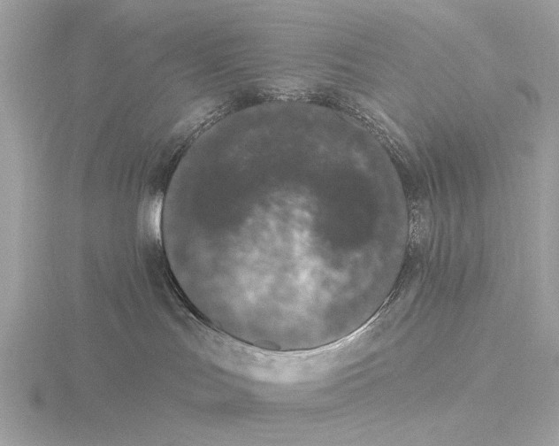 X0000116430047200912221513