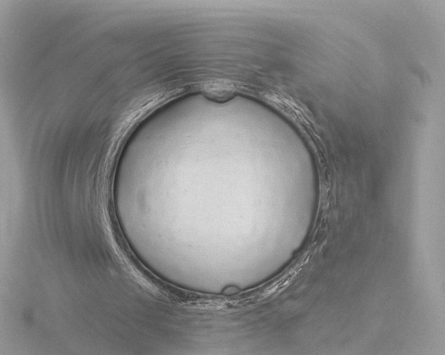 X0000116430049200912221513