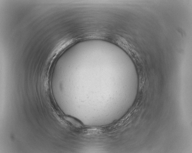 X0000116430050200912221513