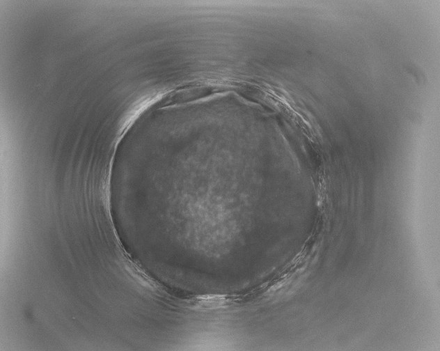 X0000116430052200912221513