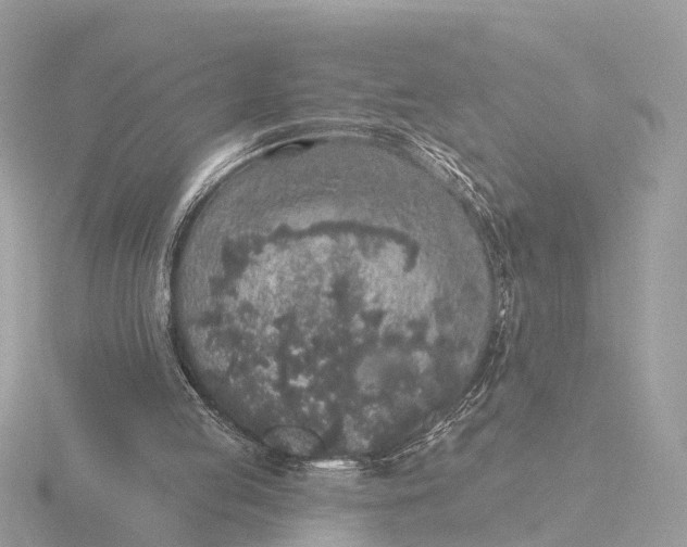 X0000116430053200912221513