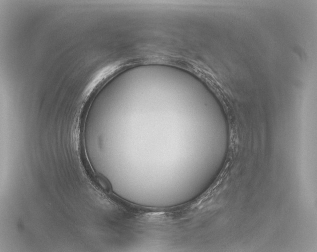 X0000116430054200912221513