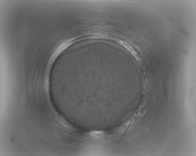 X0000116430055200912221513