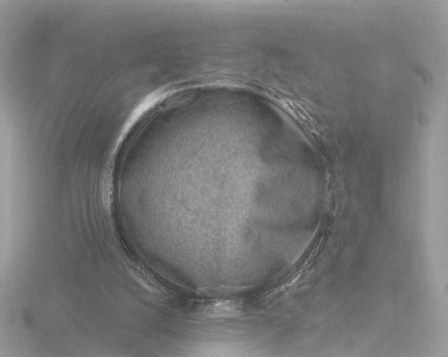 X0000116430056200912221513