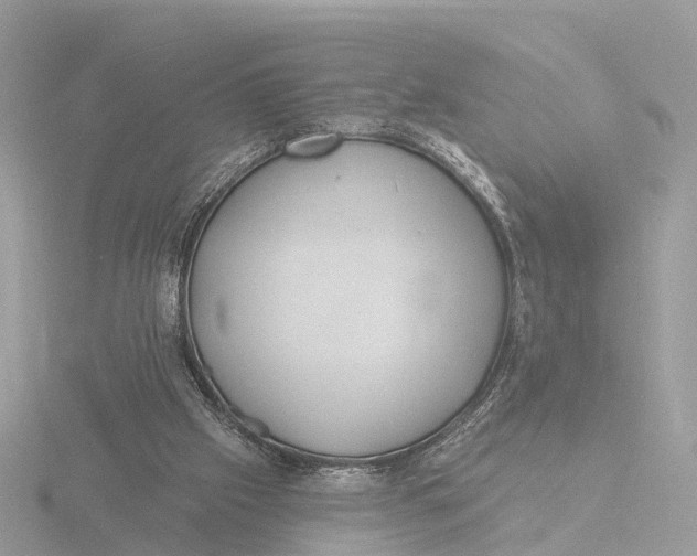 X0000116430057200912221513