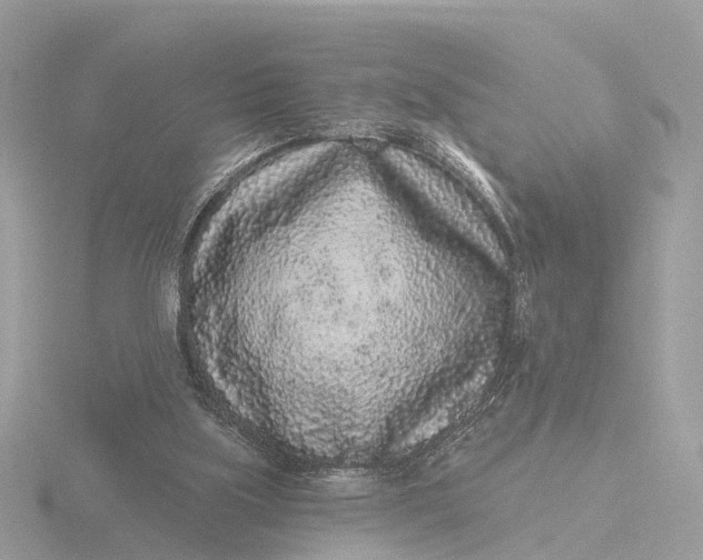 X0000116430059200912221513