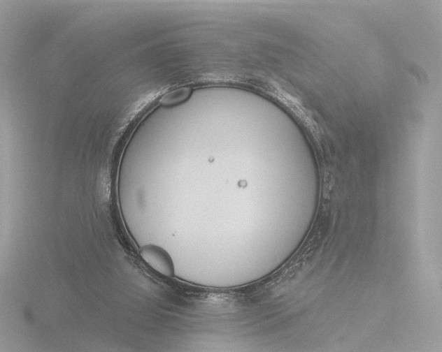 X0000116430060200912221513