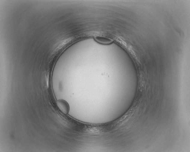 X0000116430062200912221513