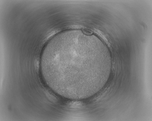 X0000116430063200912221513