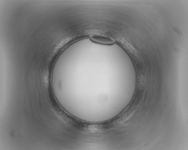 X0000116430064200912221513