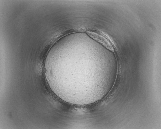 X0000116430065200912221513