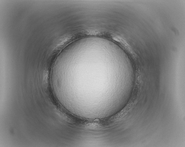 X0000116430066200912221513