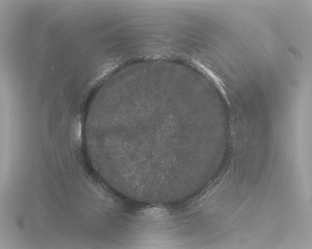 X0000116430067200912221513