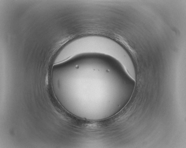 X0000116430068200912221513