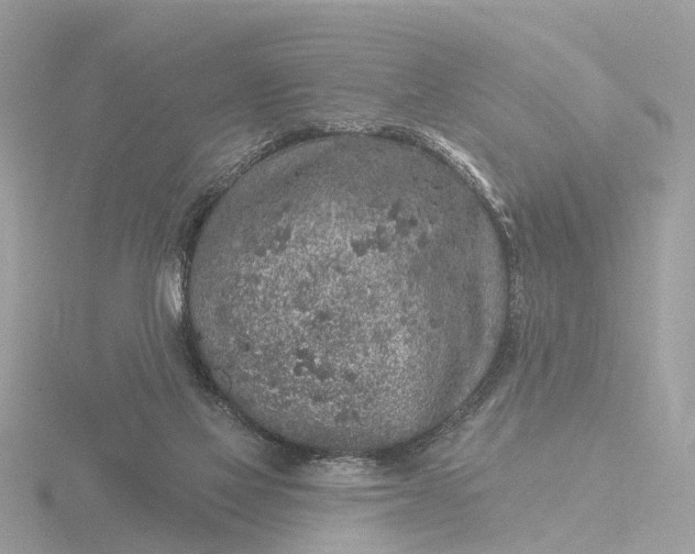 X0000116430069200912221513