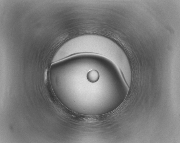 X0000116430070200912221513