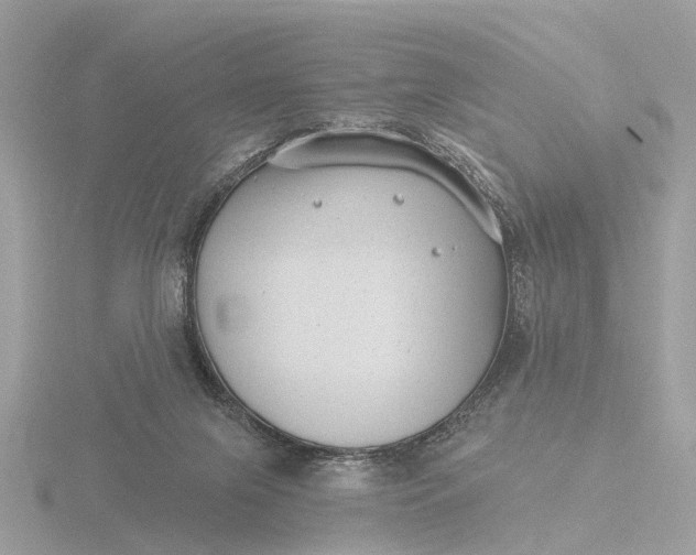 X0000116430071200912221513