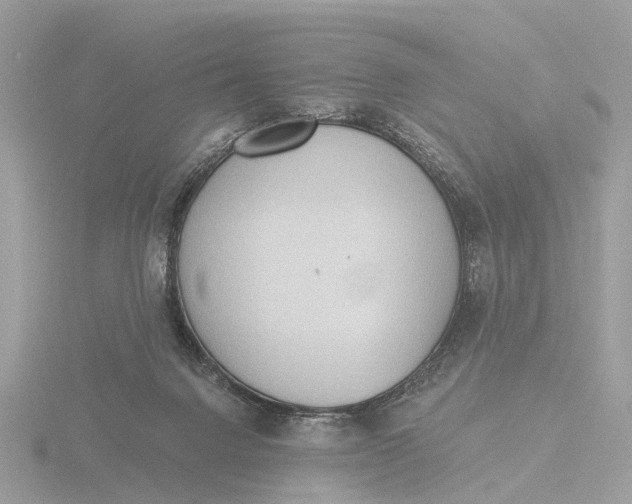 X0000116430072200912221513