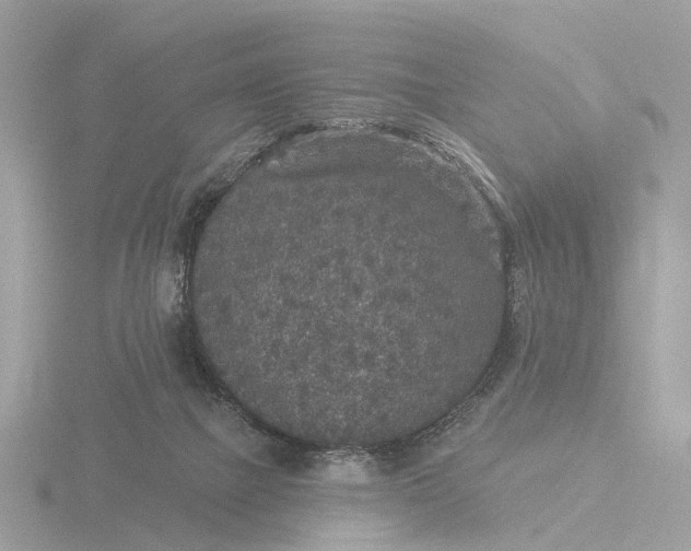 X0000116430073200912221513