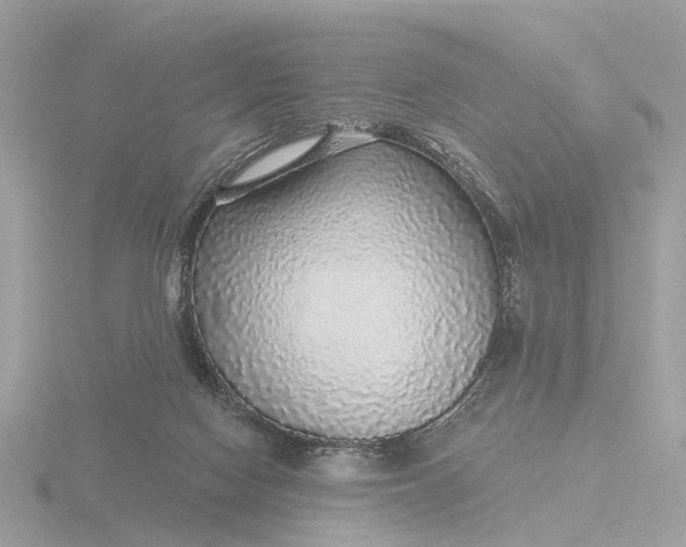 X0000116430074200912221513