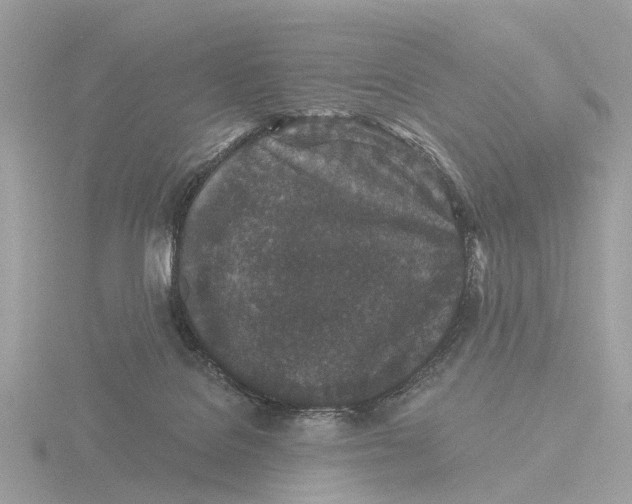 X0000116430076200912221513