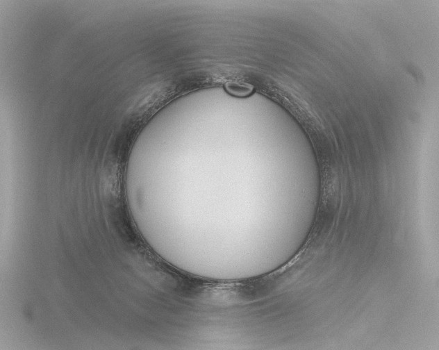 X0000116430078200912221513