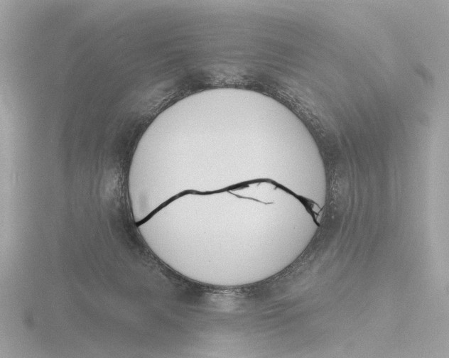 X0000116430079200912221513