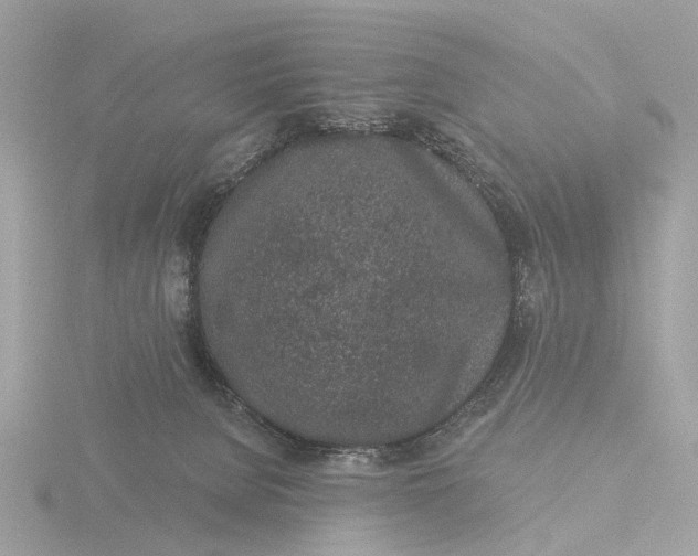 X0000116430080200912221513