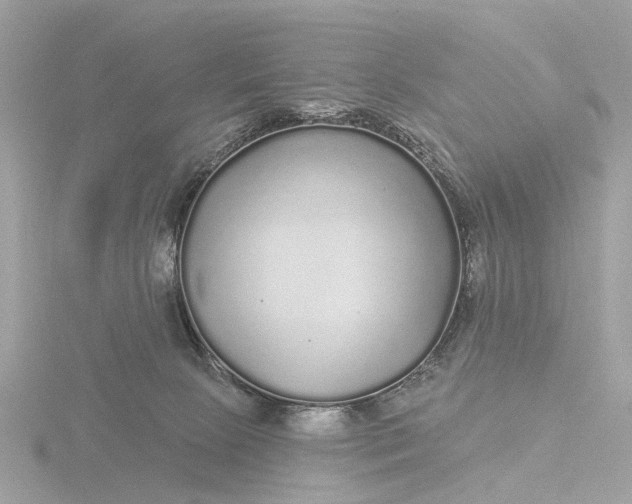 X0000116430081200912221513