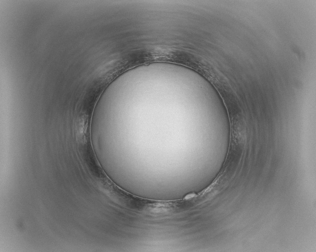 X0000116430082200912221513