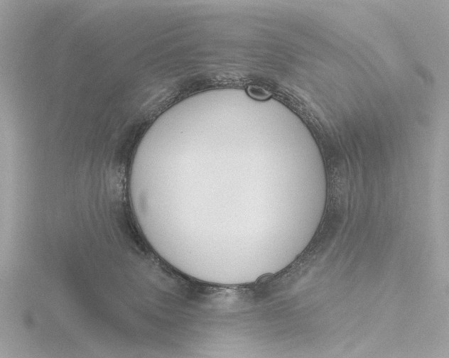 X0000116430083200912221513