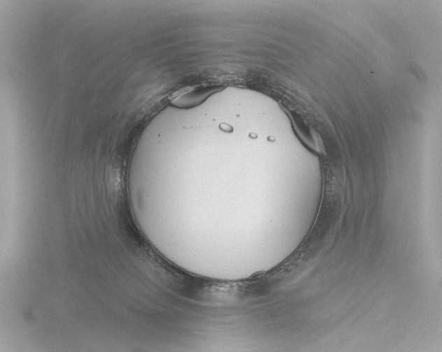 X0000116430084200912221513