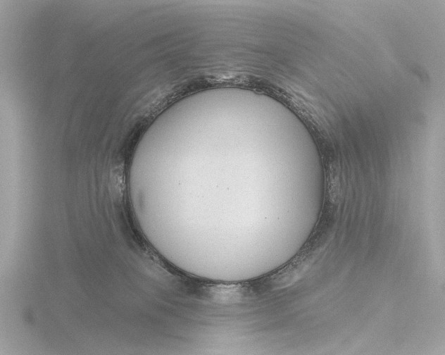 X0000116430085200912221513