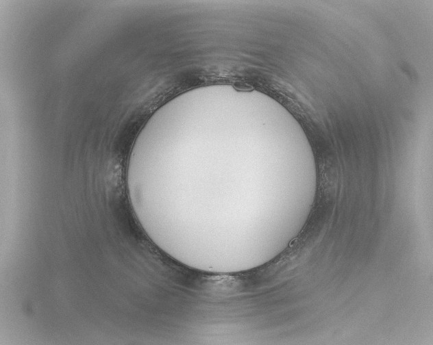 X0000116430087200912221513