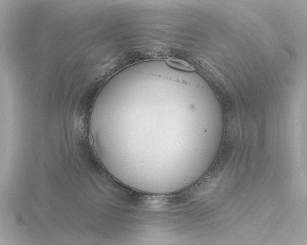 X0000116430088200912221513