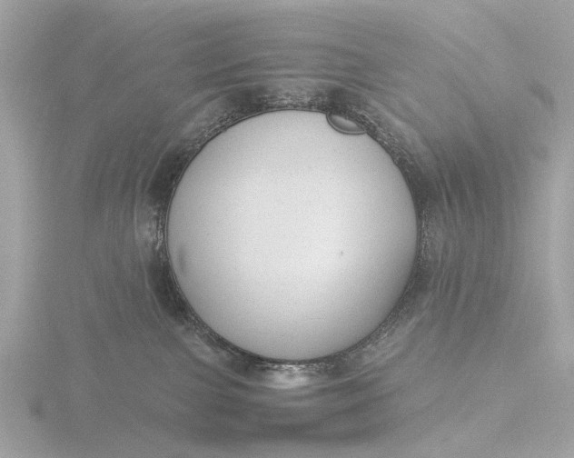 X0000116430091200912221513