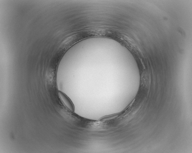 X0000116430092200912221513