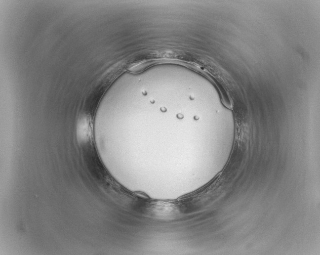 X0000116430095200912221513