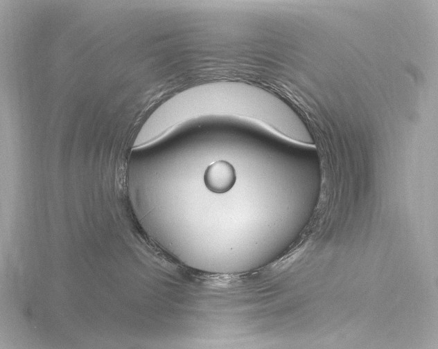 X0000116430096200912221513