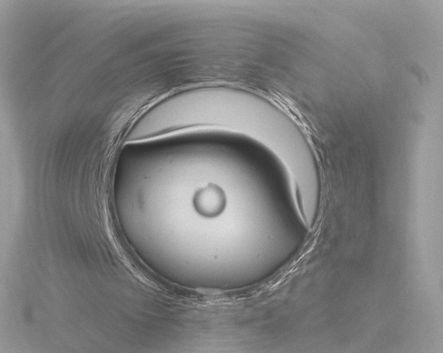 X0000116430097200912221513