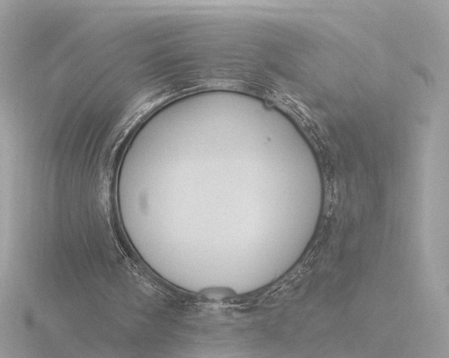 X0000116430098200912221513