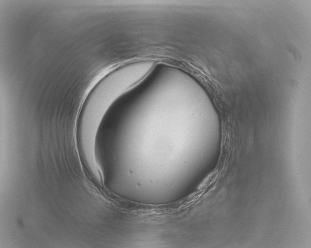 X0000116430100200912221513