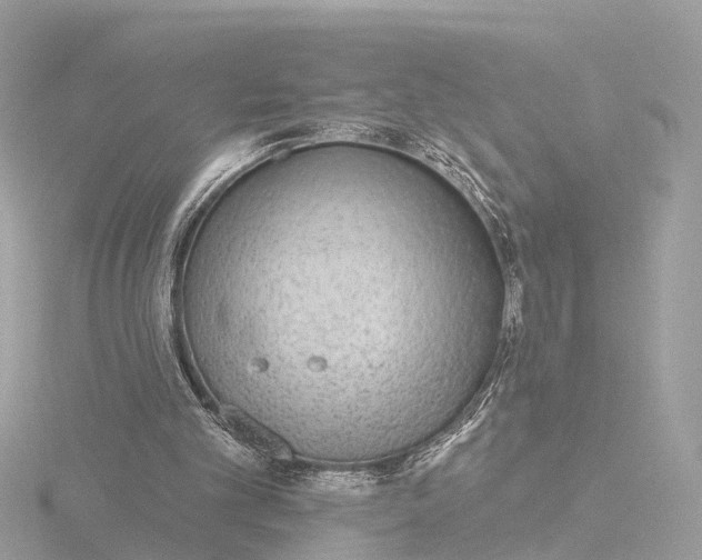 X0000116430101200912221513