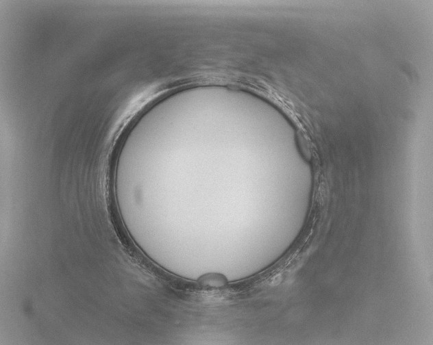 X0000116430103200912221513