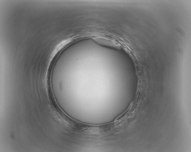 X0000116430104200912221513