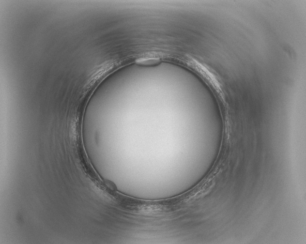 X0000116430105200912221513